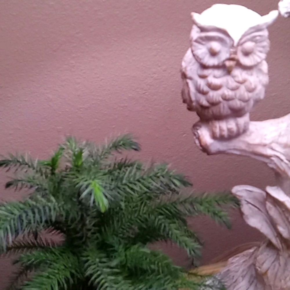 ❤️❤️❤️❤️